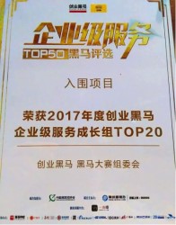 2017年度企業服務TOP20